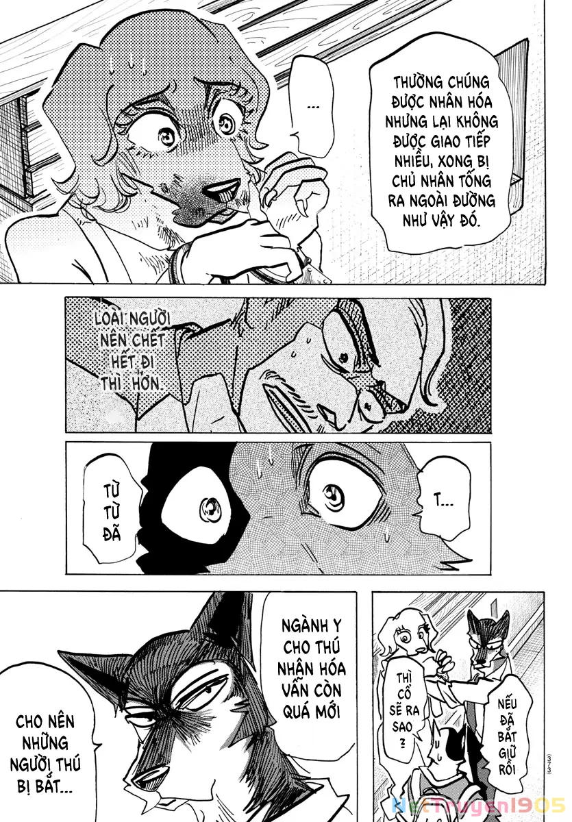 Lý Trí Của Taika Chapter 23 - 17