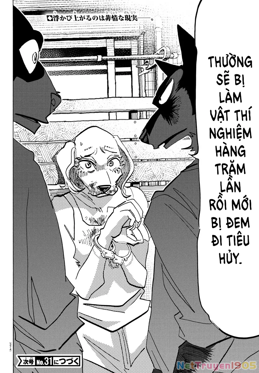 Lý Trí Của Taika Chapter 23 - 18