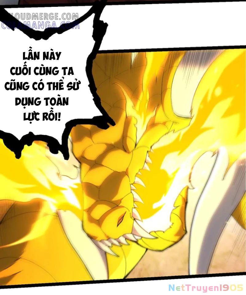 Chuyển Sinh Thành Liễu Đột Biến Chapter 393 - 12