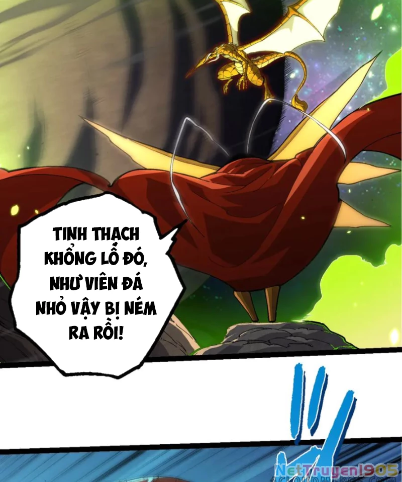 Chuyển Sinh Thành Liễu Đột Biến Chapter 393 - 24