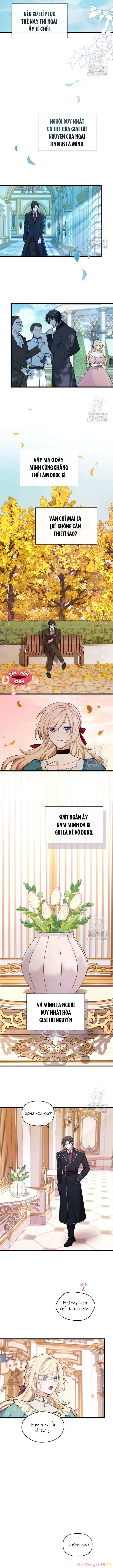 Bệ Hạ, Xin Hãy Quên Tôi Đi Chapter 2 - 4