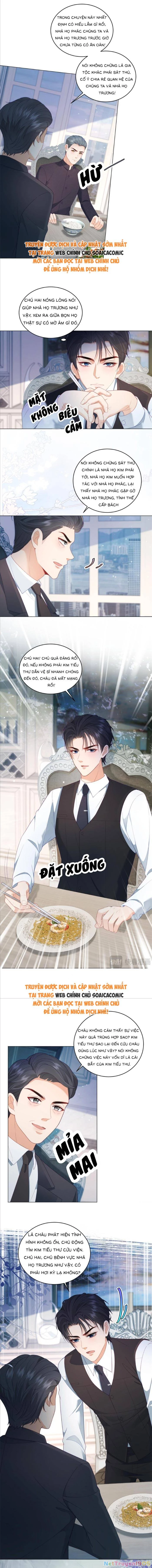Bạn Gái Giả Ngốc Của Chủ Tịch Chapter 27 - 8