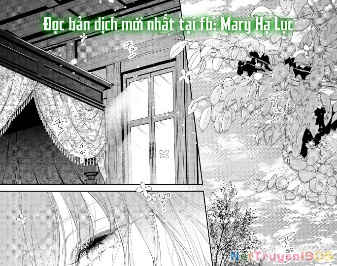 Sao Băng Ẩn Trong Hoa Chapter 28.1 - 5