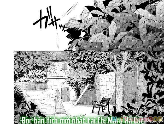 Sao Băng Ẩn Trong Hoa Chapter 28.2 - 20