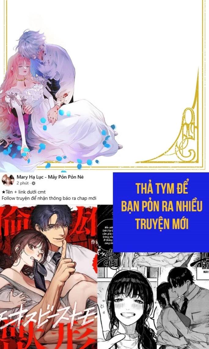 Sao Băng Ẩn Trong Hoa Chapter 28.2 - 26