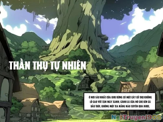 Từ Một Hồ Nước Bắt Đầu Tiến Hóa Chapter 6 - 13