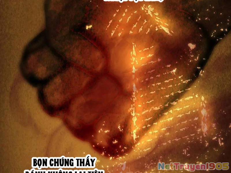 Đại Thừa Kỳ Mới Có Nghịch Tập Hệ Thống Chapter 71 - 5