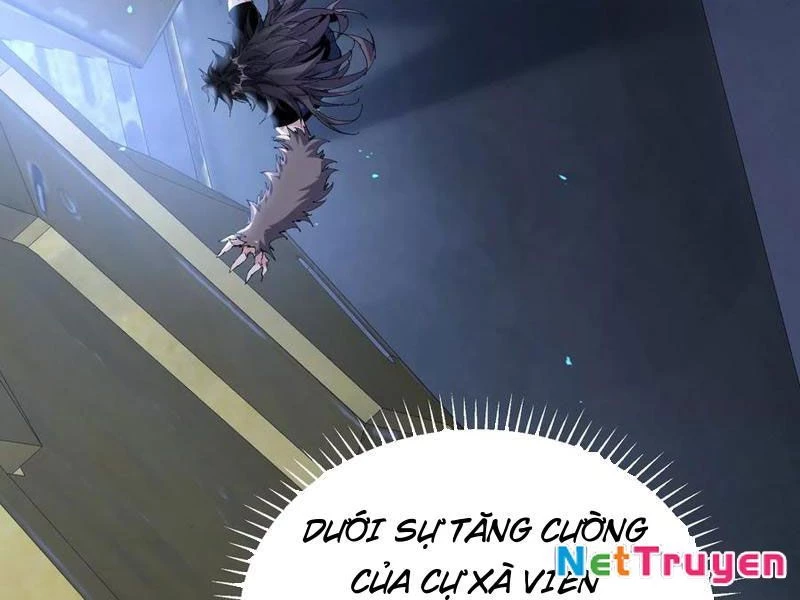 Mạt Thế Cẩu Sinh: Gián Giúp Ta Chồng Buff Chapter 50 - 71