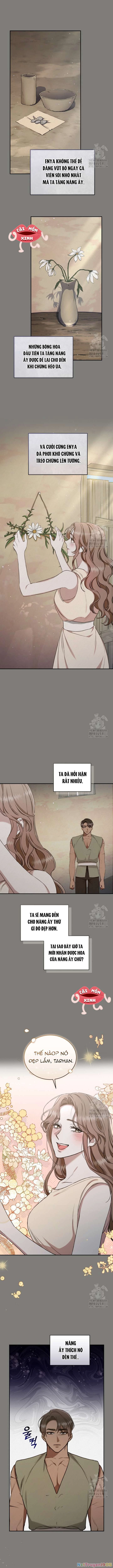 Khu Rừng Hoang Dã Chapter 26 - 11
