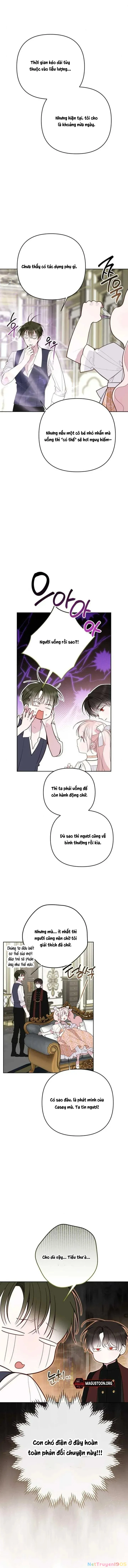 Bạo Chúa Bé Con Chapter 114 - 6