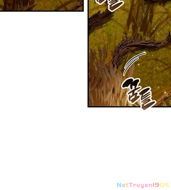 Người Chơi Che Giấu Quá Khứ Chapter 77 - 113