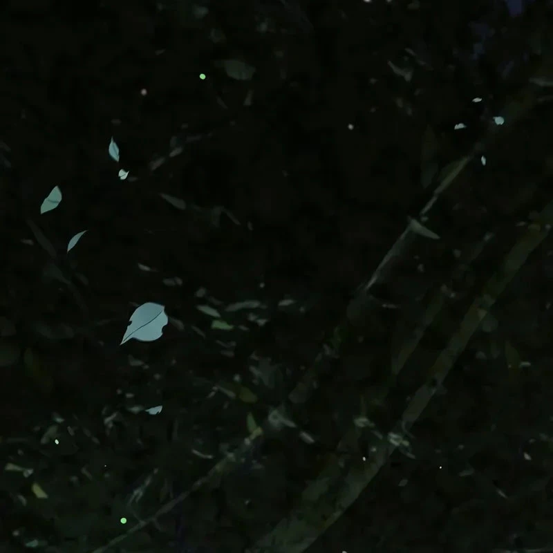 Thiên Qua Thư Khố Đại Công Tử Chapter 135 - 2