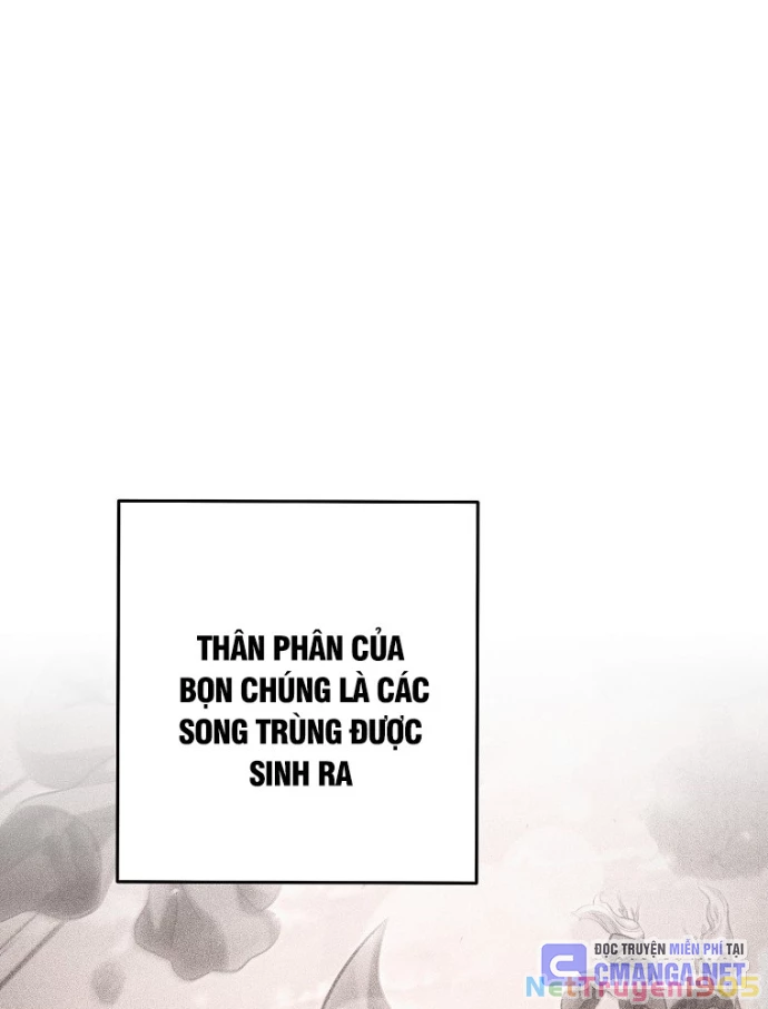 Tái Thiết Hầm Ngục Chapter 254 - 9