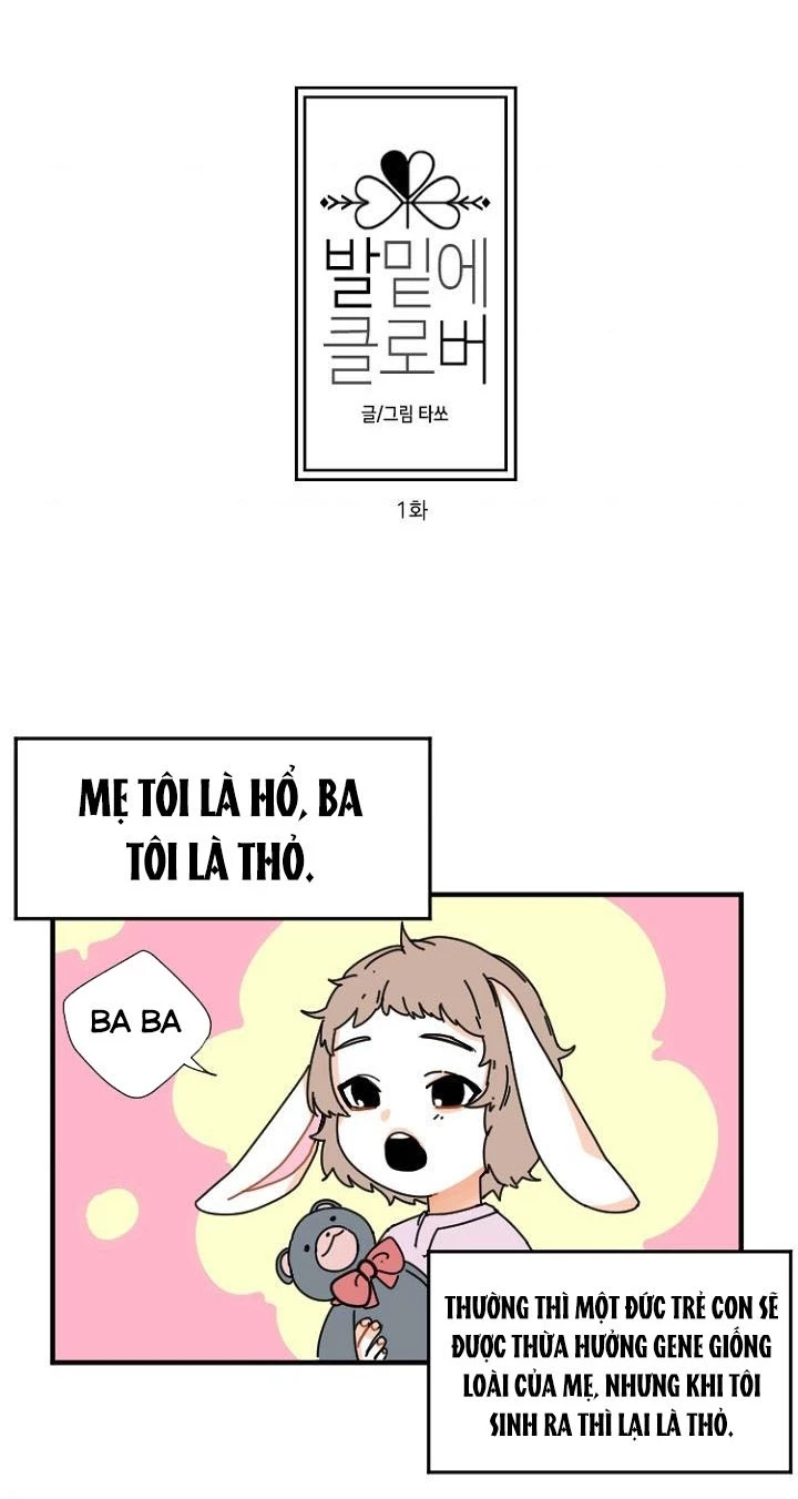 Gót Chân Dẫm Lên Cỏ Ba Lá Chapter 1 - 8
