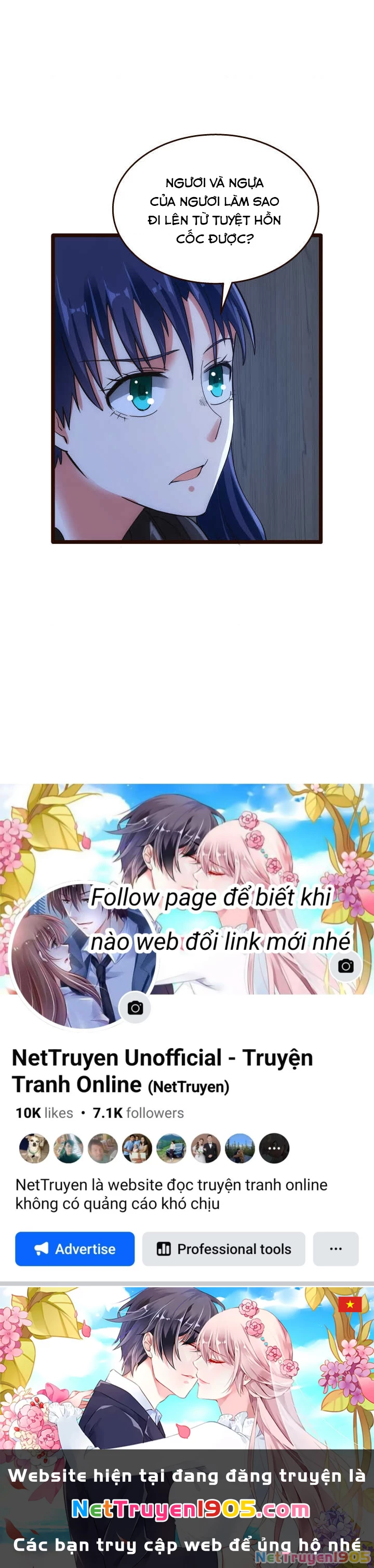 Phi Ca Truyện Chapter 43 - 24
