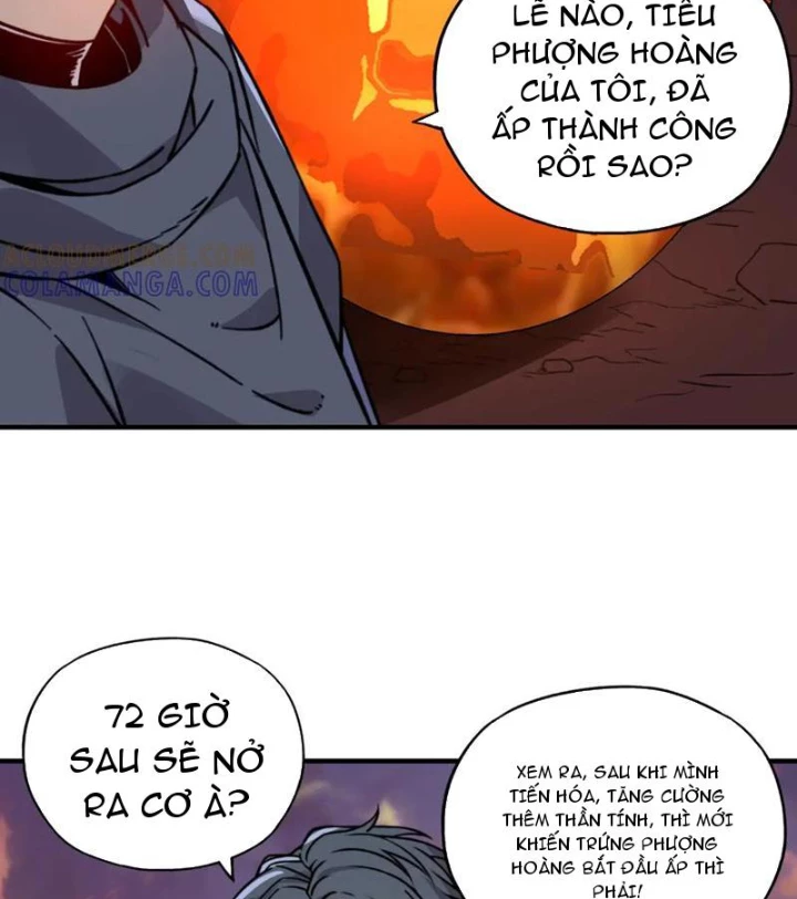 Bắt đầu chuyển chức tài thần, ta chuyển hóa triệu vạn thần sủng Chapter 31 - 4