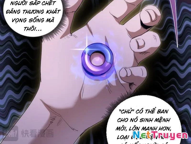 Cao Đẳng Linh Hồn Chapter 339 - 11