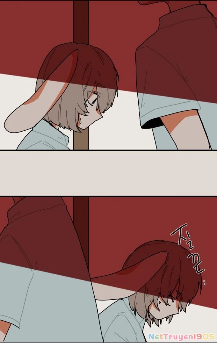 Gót Chân Dẫm Lên Cỏ Ba Lá Chapter 5 - 12