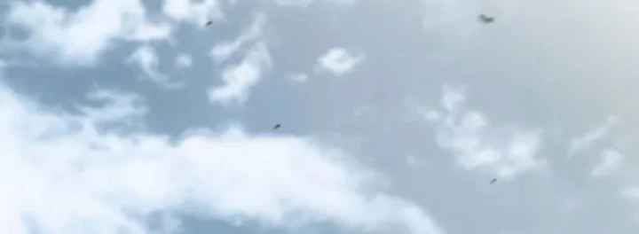 Vô Hồn Bất Kính Giả Dạ Chapter 40 - 125