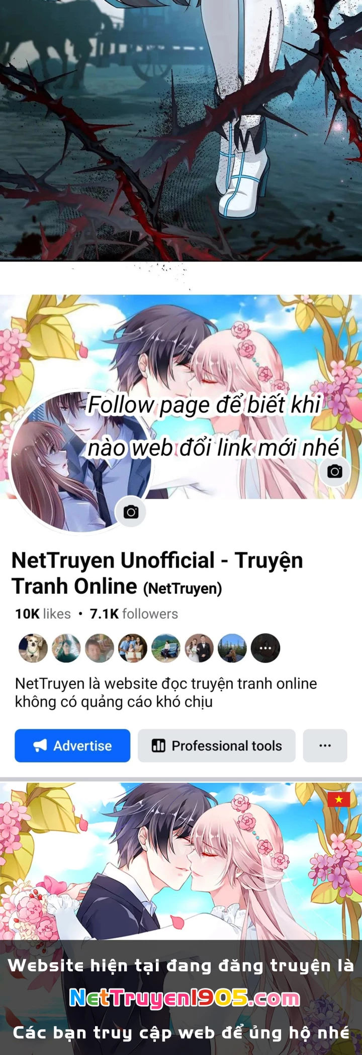 Vượt Cấp Xuyên Không, Tại Sao Tôi Lại Trở Thành Tiểu Thư Tu Sĩ? Chapter 41 - 100