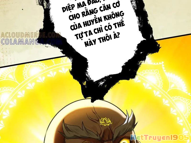 Gặp Mạnh Thì Mạnh, Ta Tu Vi Vô Thượng Hạn Chapter 58 - 33