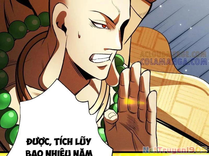 Gặp Mạnh Thì Mạnh, Ta Tu Vi Vô Thượng Hạn Chapter 58 - 197