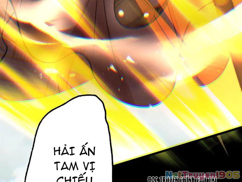Gặp Mạnh Thì Mạnh, Ta Tu Vi Vô Thượng Hạn Chapter 58 - 202