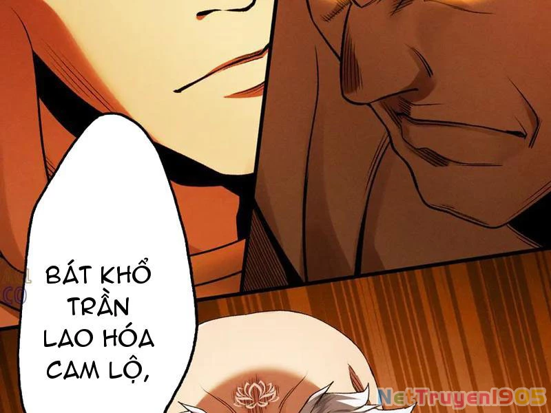 Gặp Mạnh Thì Mạnh, Ta Tu Vi Vô Thượng Hạn Chapter 58 - 205