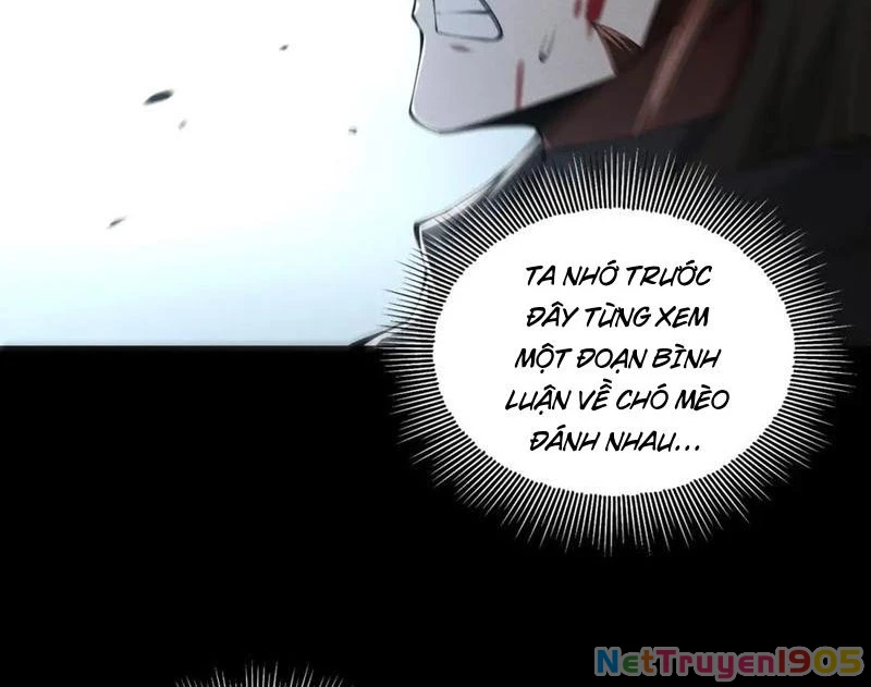 Ta Thăng Cấp Cùng Tai Ách Chapter 44 - 74
