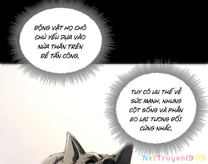 Ta Thăng Cấp Cùng Tai Ách Chapter 44 - 75
