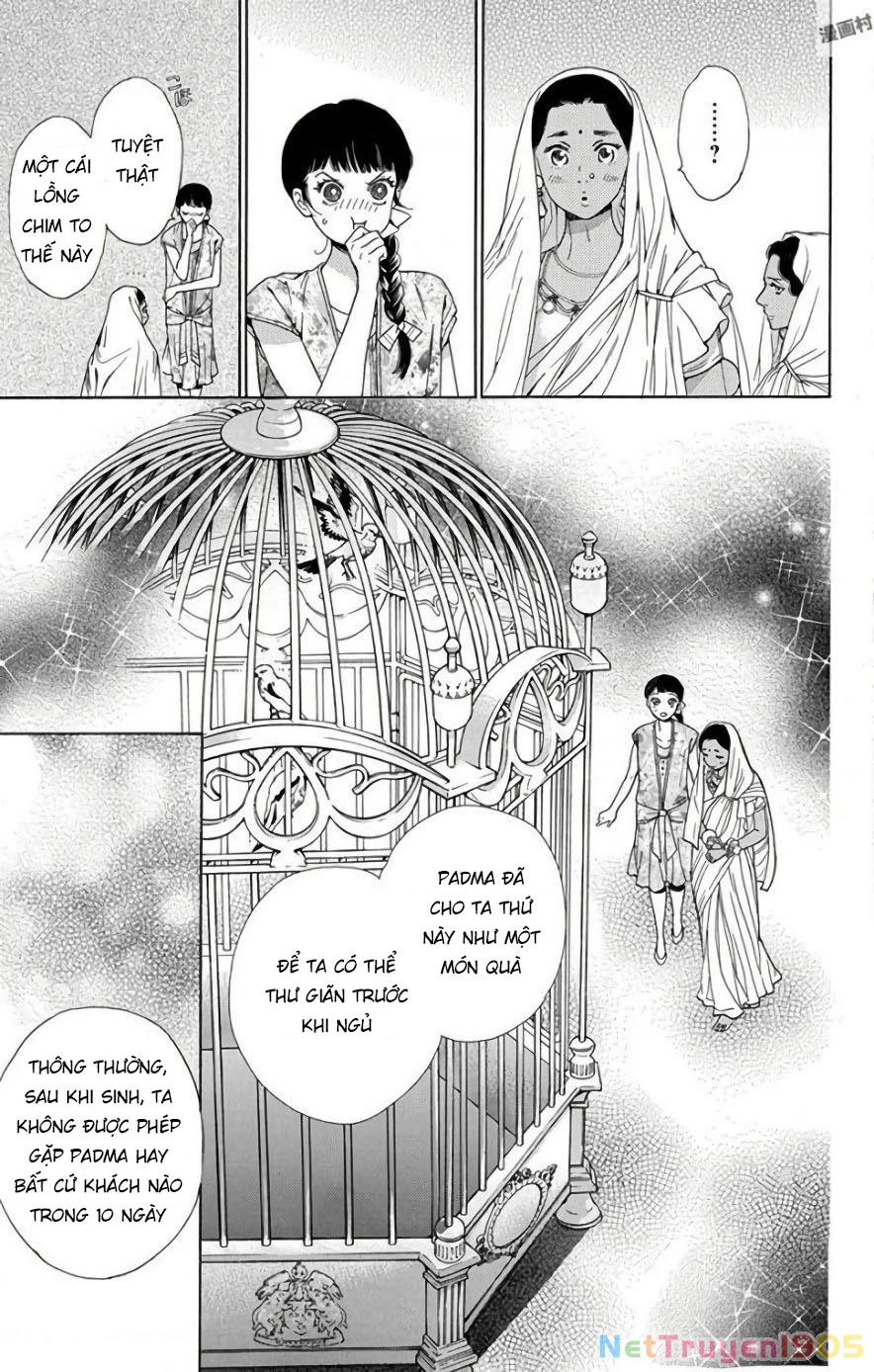 Madame Petit Chapter 52 - 14