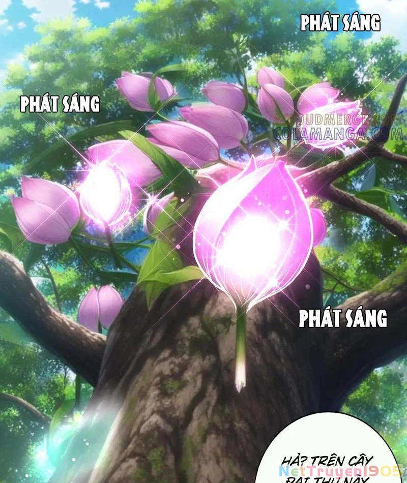 Tôi làm NPC ở dị giới Chapter 16 - 42
