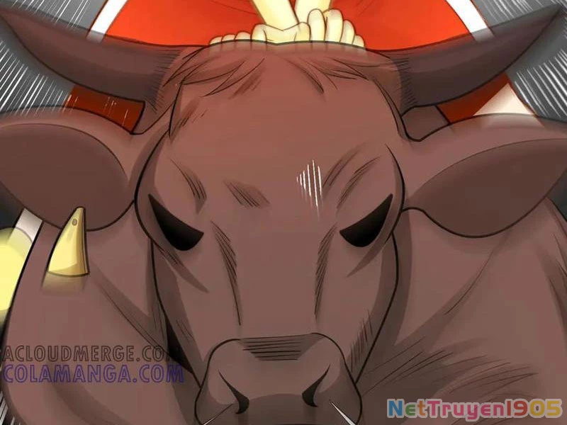 Trước mặt bệnh tâm thần, quỷ dị chẳng là gì cả Chapter 144 - 27