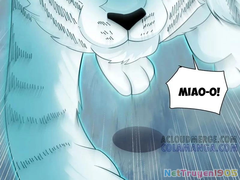 Trước mặt bệnh tâm thần, quỷ dị chẳng là gì cả Chapter 144 - 103