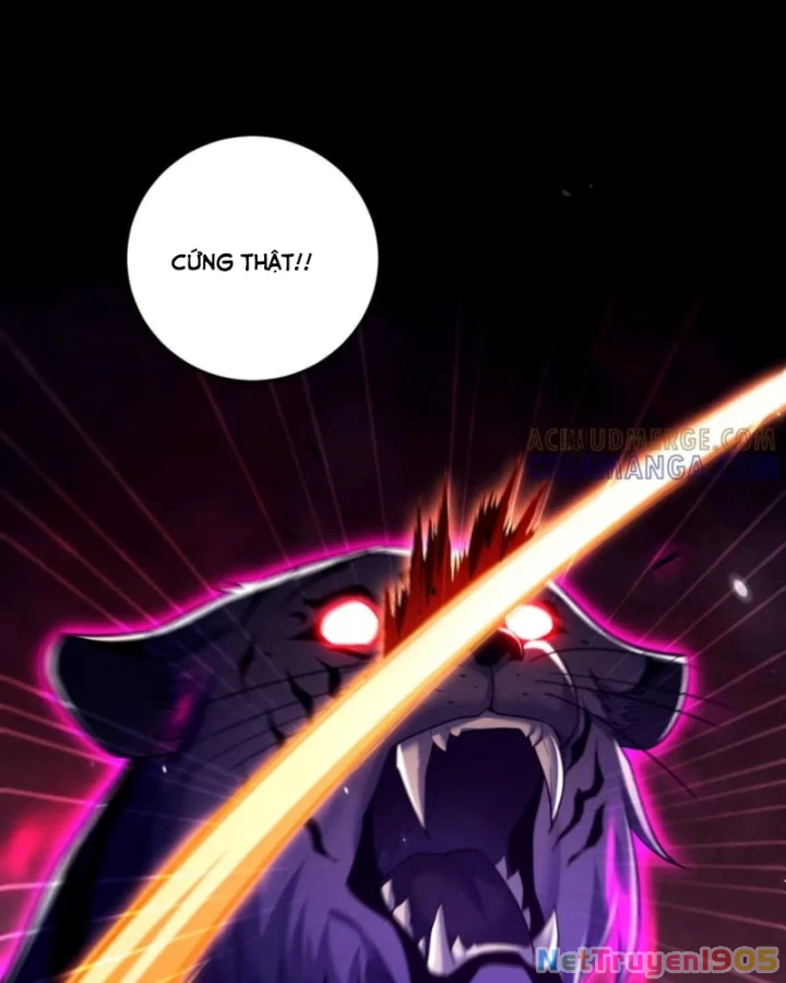 Các Nữ Sư Tôn Đều Muốn Chiếm Hữu Ta Chapter 24 - 72