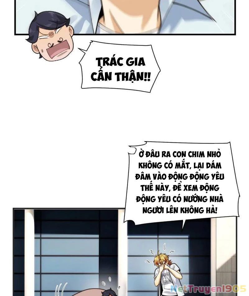 Trước mặt bệnh tâm thần, quỷ dị chẳng là gì cả Chapter 145 - 47