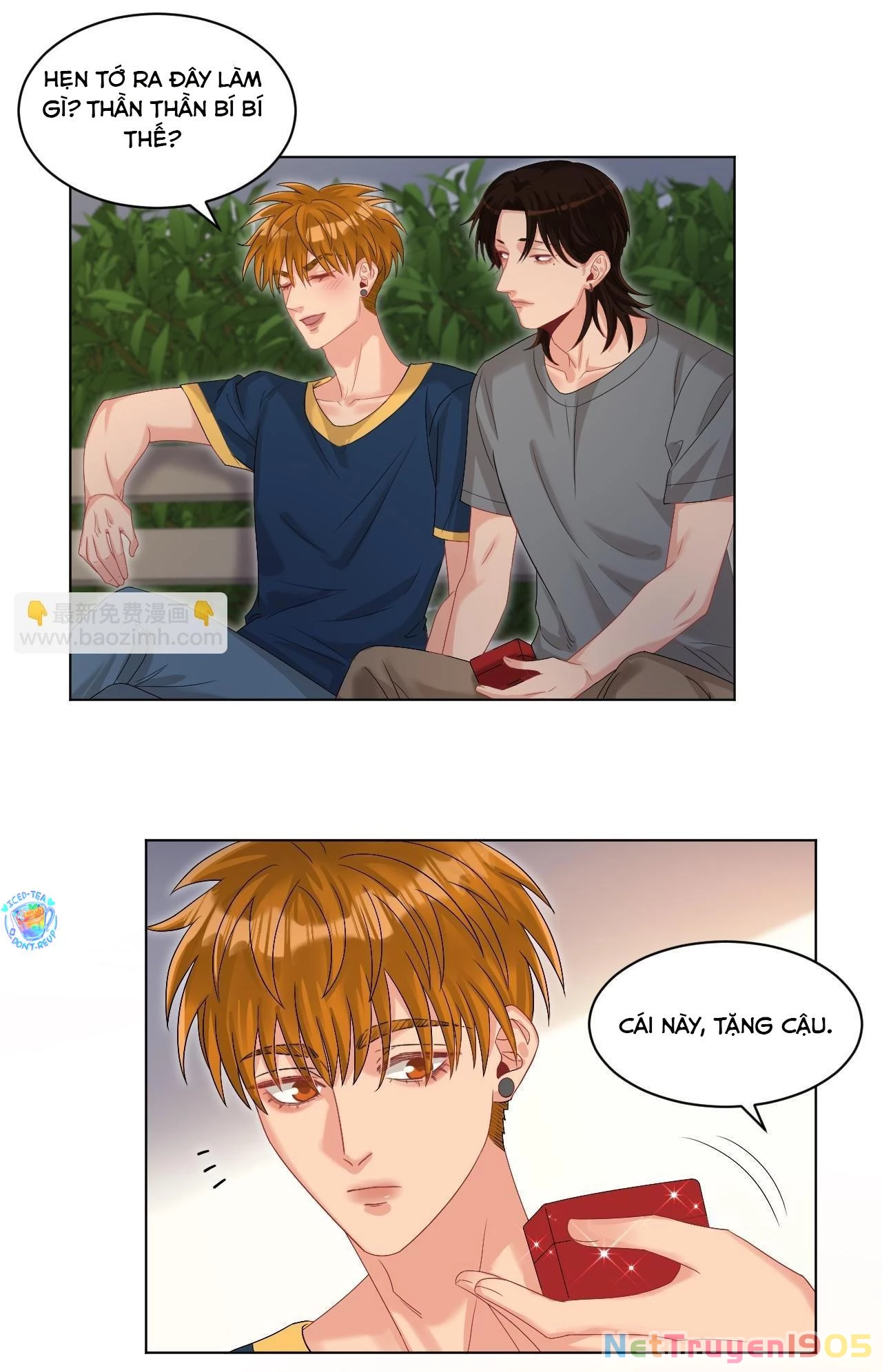 Ký Túc Xá Nam Phòng 303 Chapter 252 - 17