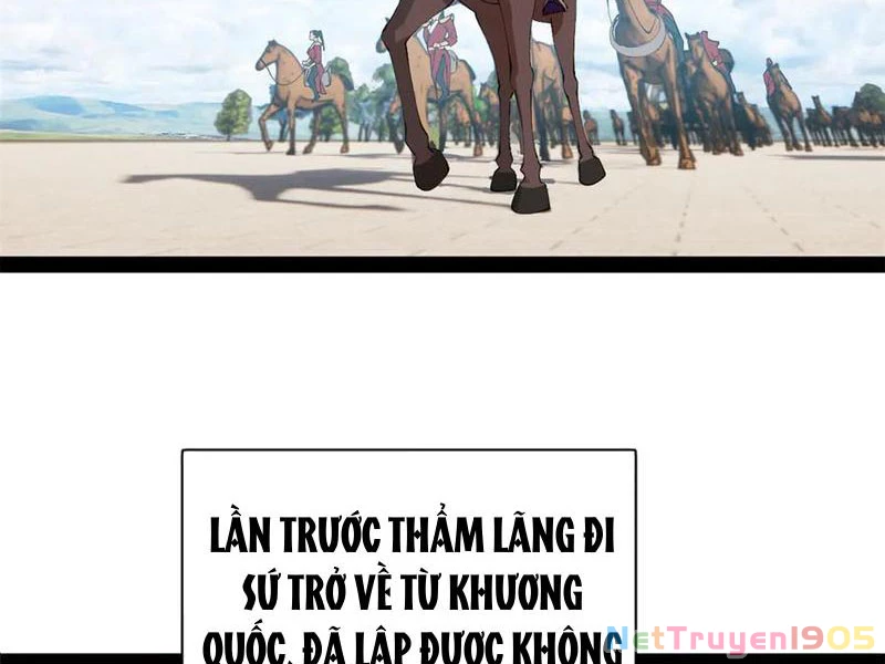 Chàng Rể Mạnh Nhất Lịch Sử Chapter 310 - 13