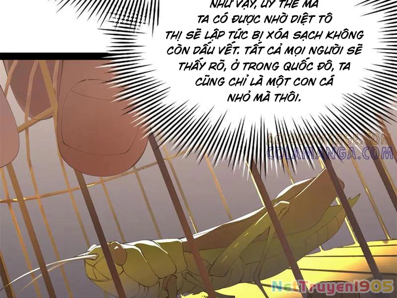 Chàng Rể Mạnh Nhất Lịch Sử Chapter 310 - 60