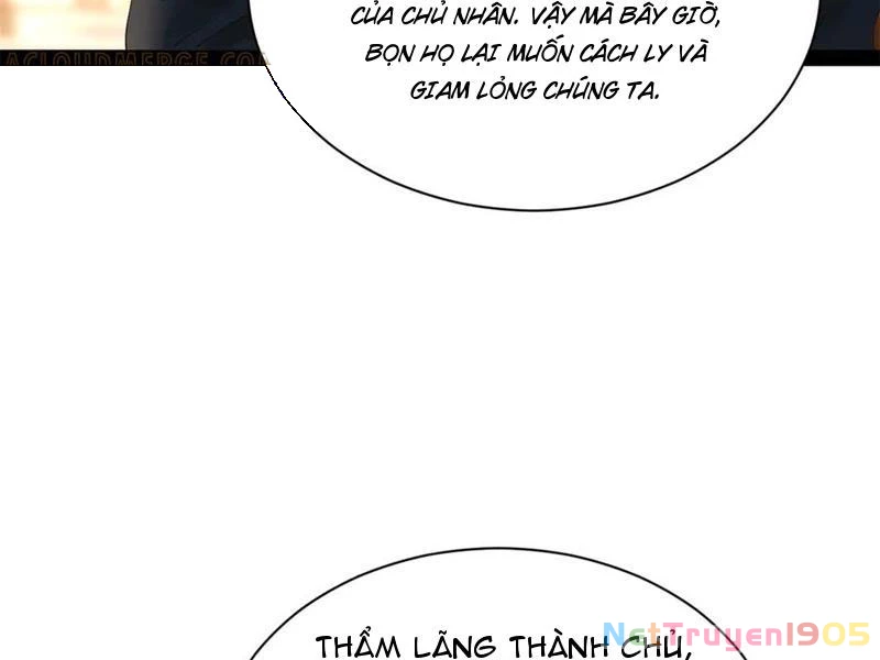 Chàng Rể Mạnh Nhất Lịch Sử Chapter 310 - 89
