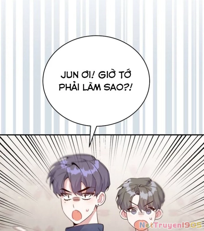 Hướng Dẫn Hồi Quy Dành Cho Thần Tượng Chapter 48 - 41