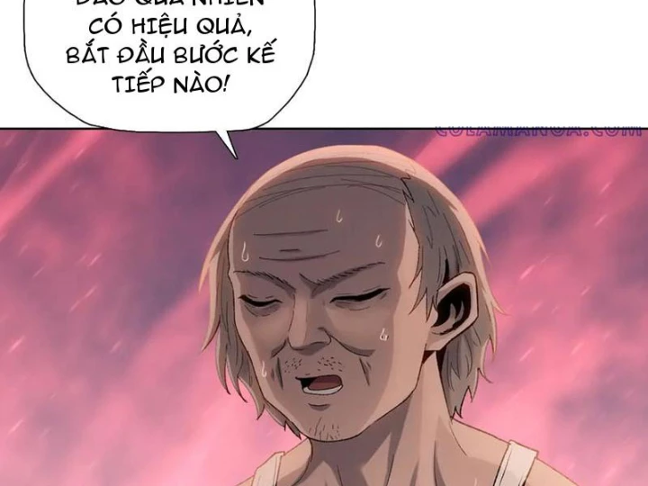 Kẻ Tàn Nhẫn Ngày Tận Thế: Bắt Đầu Dự Trữ Hàng Tỷ Tấn Vật Tư Chapter 74 - 14