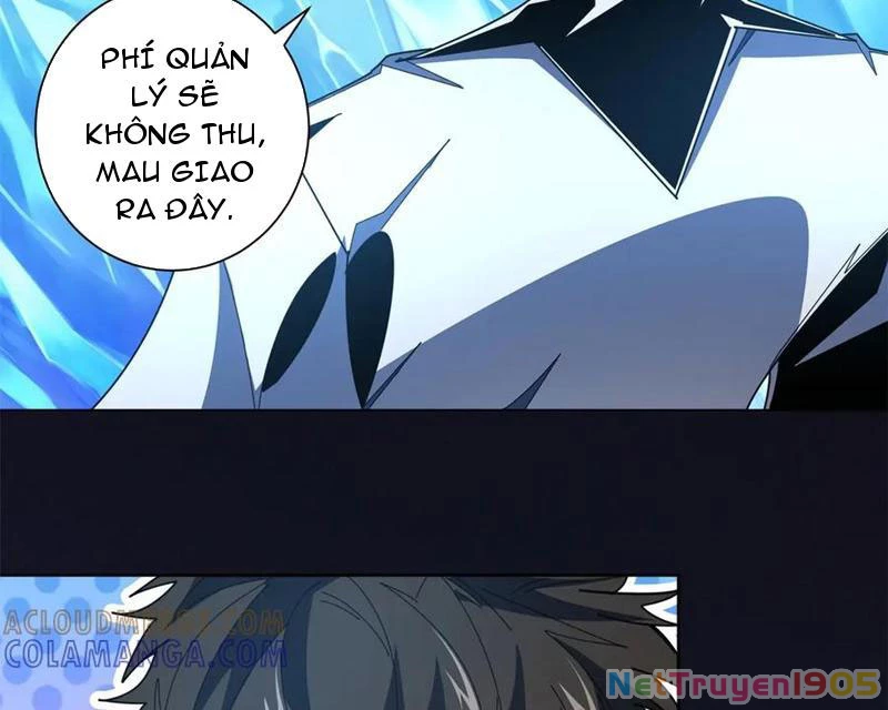 Ta Thành Vương Giả Từ Khắc Kim Chapter 38 - 65