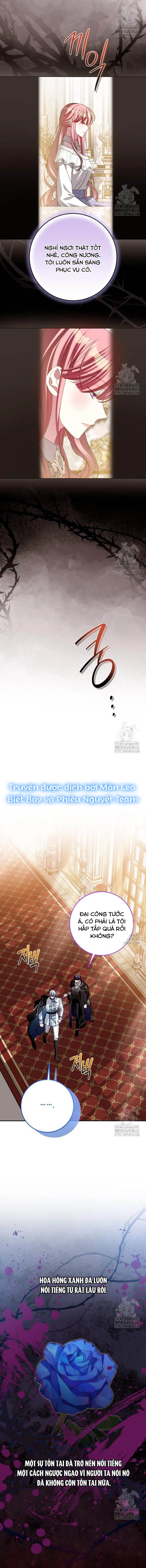 Tôi Gặp Nam Chính Trong Tù Chapter 64 - 17