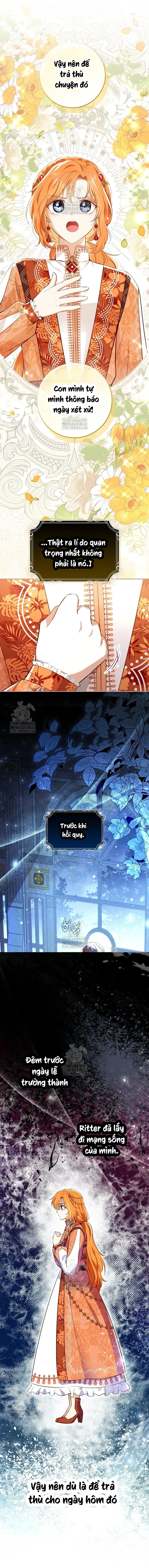 Sóc Con Tài Năng Chapter 115 - 5