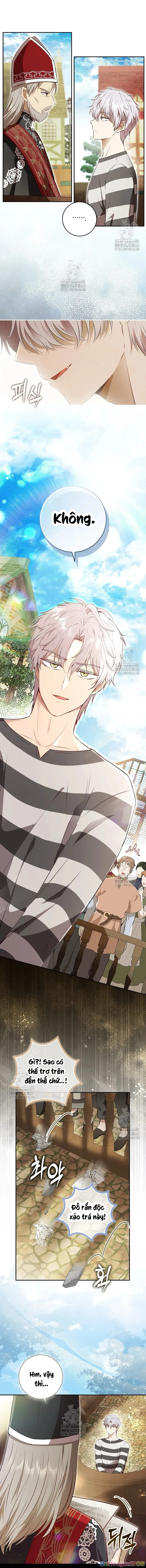 Sóc Con Tài Năng Chapter 116 - 9