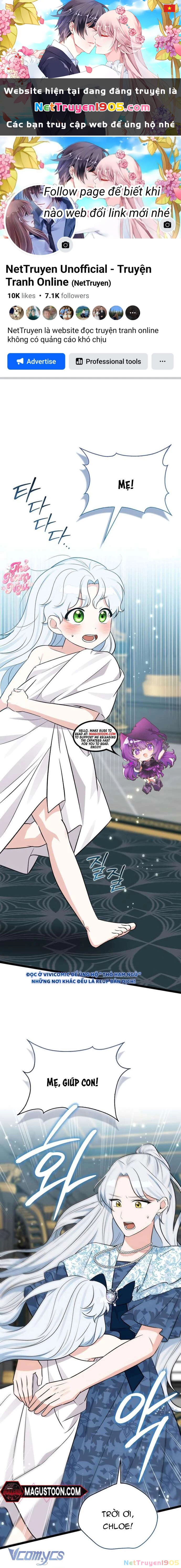 Thỏ Á? Rõ Ràng Là Mãnh Thú Cơ Mà! Chapter 19 - 1