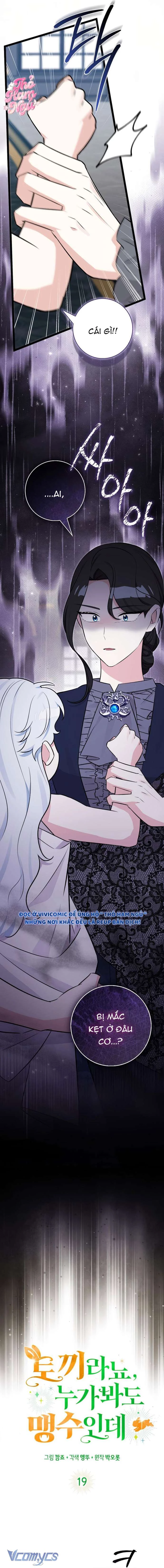 Thỏ Á? Rõ Ràng Là Mãnh Thú Cơ Mà! Chapter 19 - 3