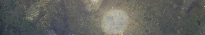 Ma Pháp Quân Chủ Chapter 7 - 182