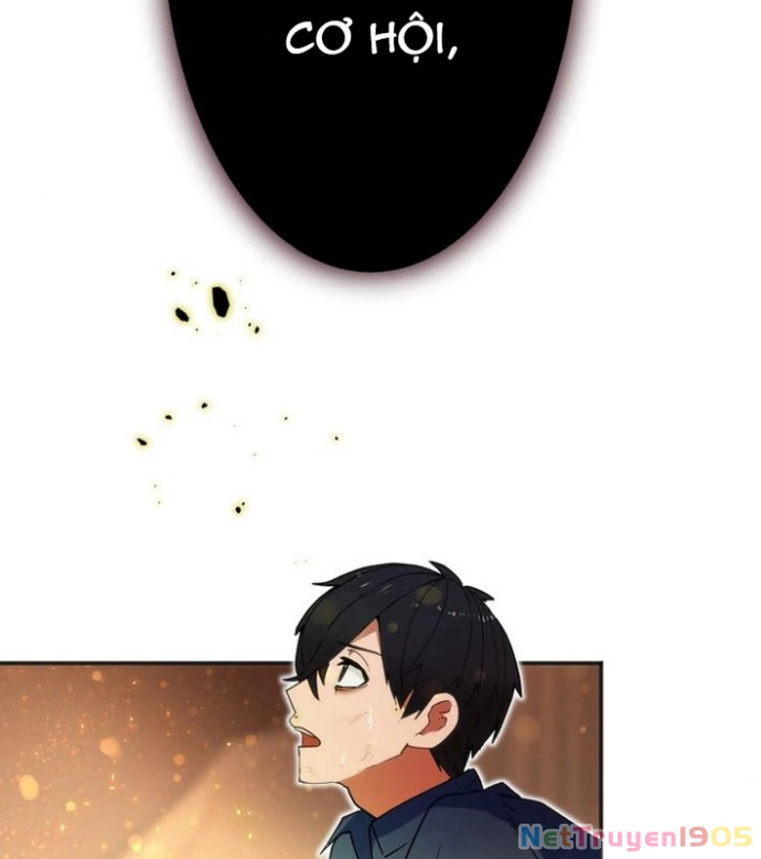 May Mắn Tối Đa Vô Địch Chapter 1 - 20